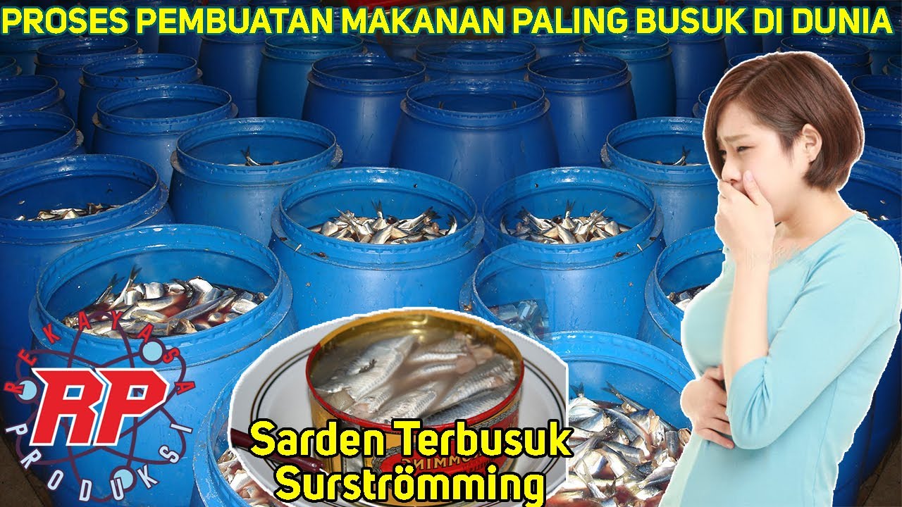 PROSES PEMBUATAN SURSTRÖMMING IKAN FERMENTASI BAU PALING BUSUK DI DUNIA | MAKANAN KHAS SWEDIA