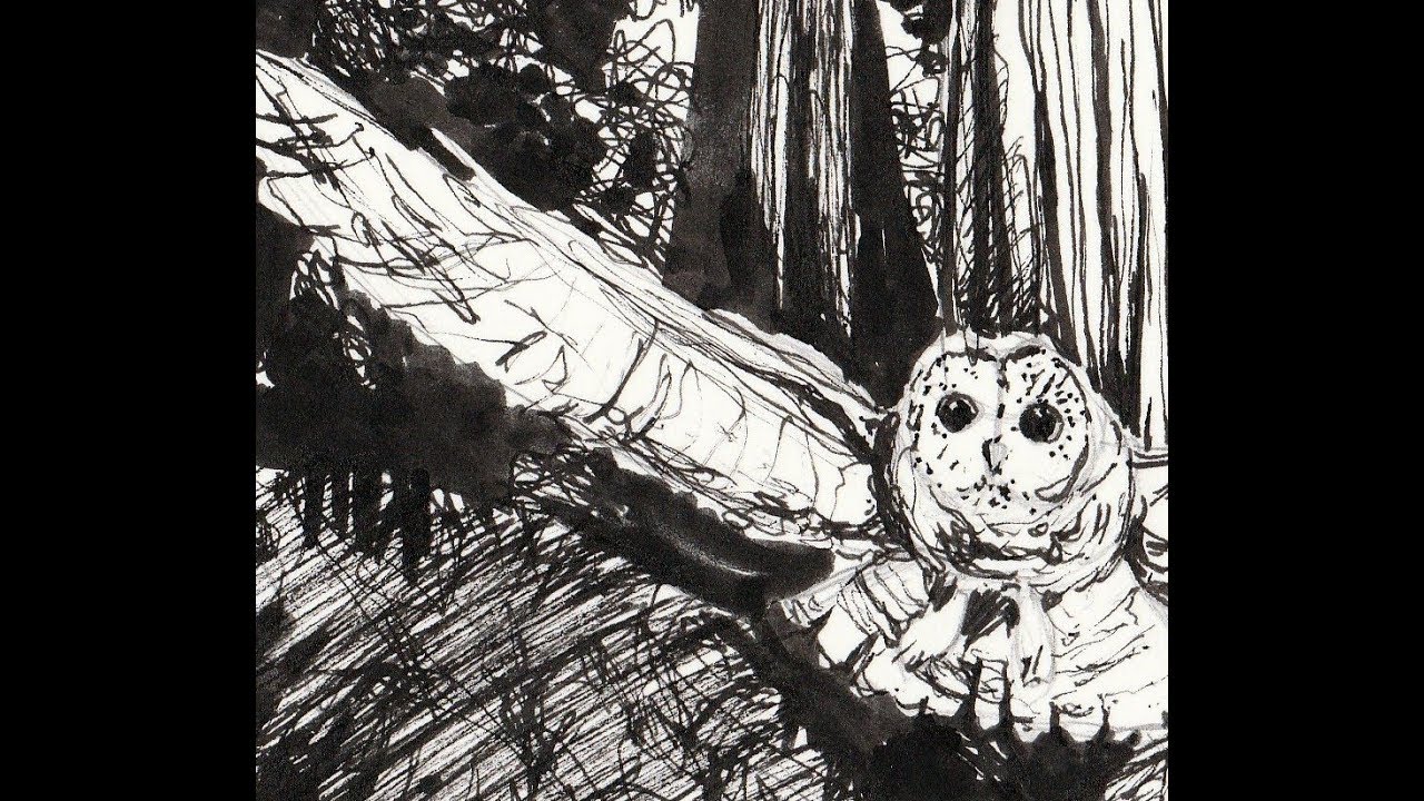 Apprendre à dessiner à l'encre et aux feutres noirs. Tuto: maîtriser les lignes matière et contraste