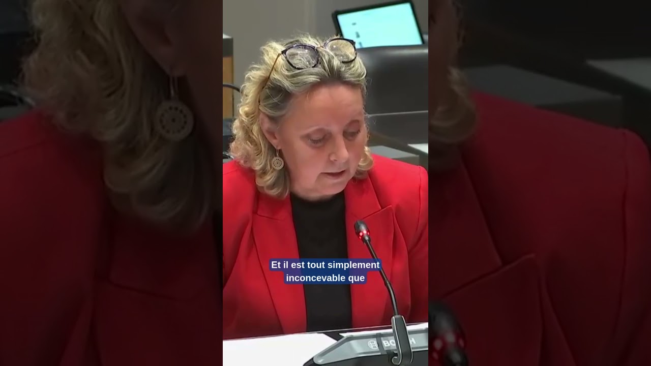 Face aux échecs de l'ASE, les propositions du Rassemblement National | Marine HAMELET