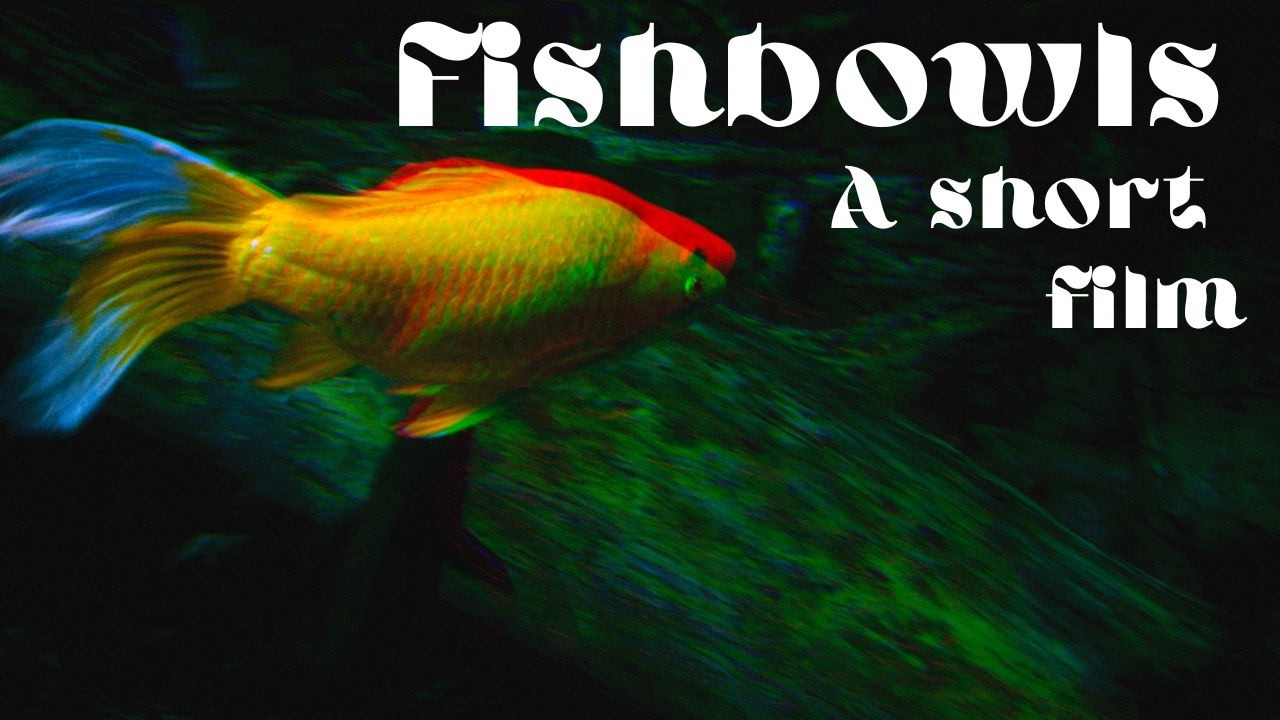 Fishbowls || Short Film