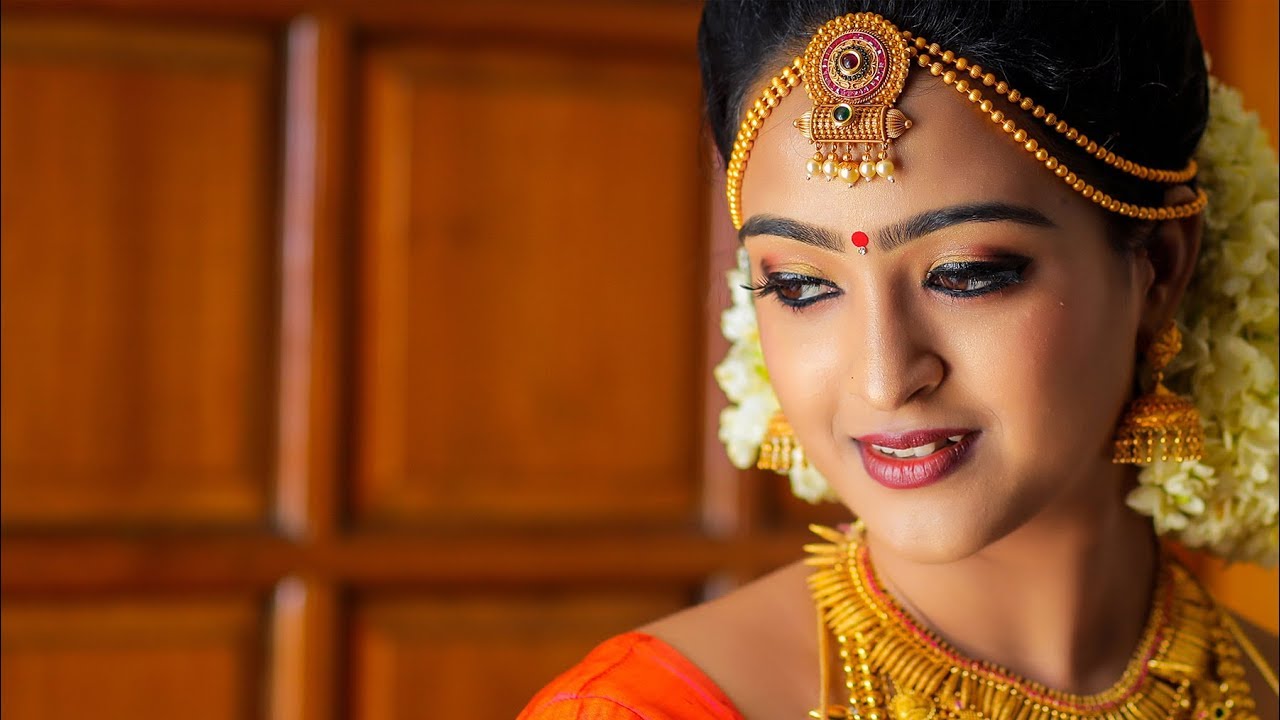 Kerala Best Hindu Wedding Highlights 2019 / MEERA AKHIL