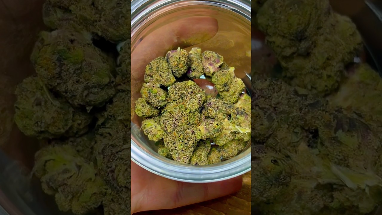 Vasco - Pave Runtz 🔥 #ukmedicalcannabis