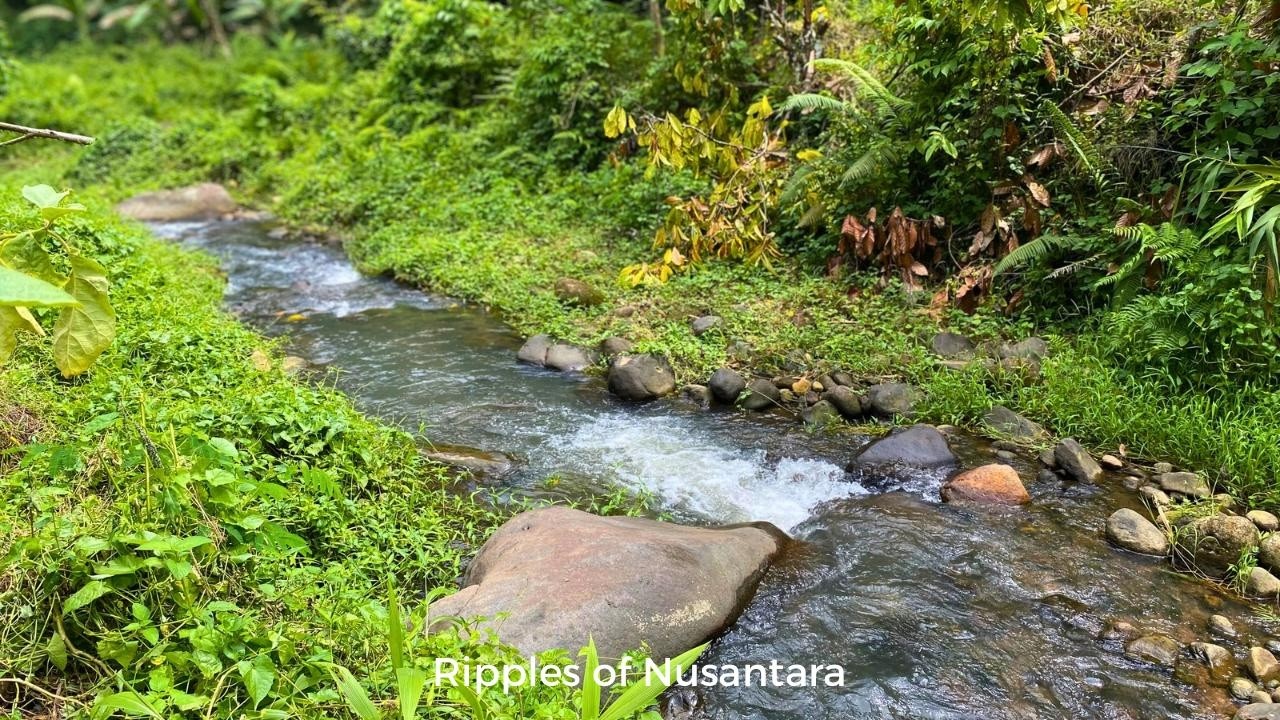 Gentle Tropical River Flow | Calming Stream Sounds for Deep Sleep & Relaxation