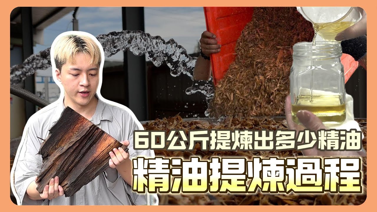 ｜高壓蒸餾法提煉精油｜花費一整天時間！60公斤木屑究竟能萃取出多少精油？