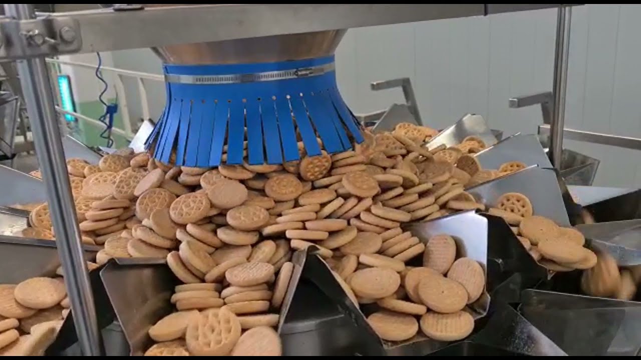GAMACO - CONFEZIONATRICE VERTICALE MOD. ATHENA + PESATRICE MULTITESTE PER BISCOTTI
