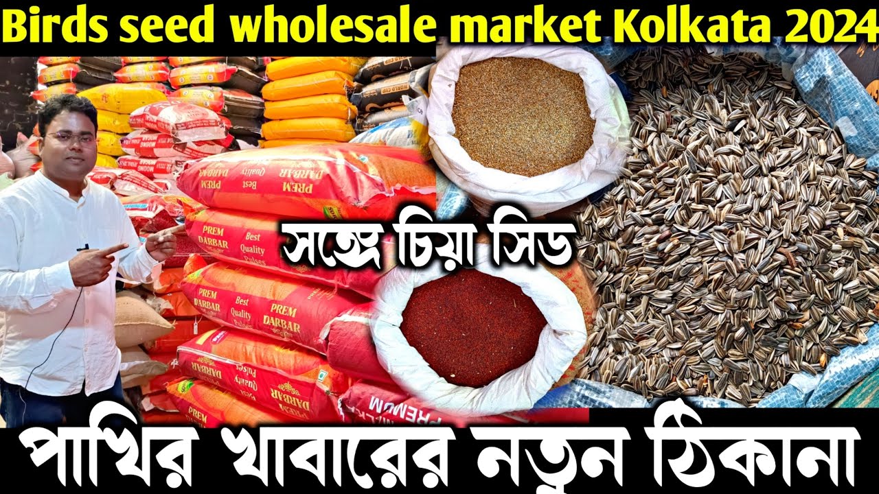 জলের দামে পাখির খাবার নিয়ে ব্যবসা করুন/bird seed wholesale market/Posta Dal Market/chia seed