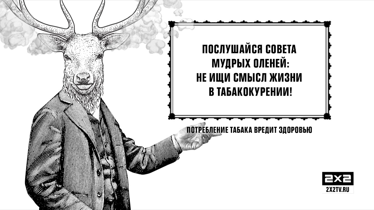Новое оформление телеканала 2х2 [Осень, 2019 год]