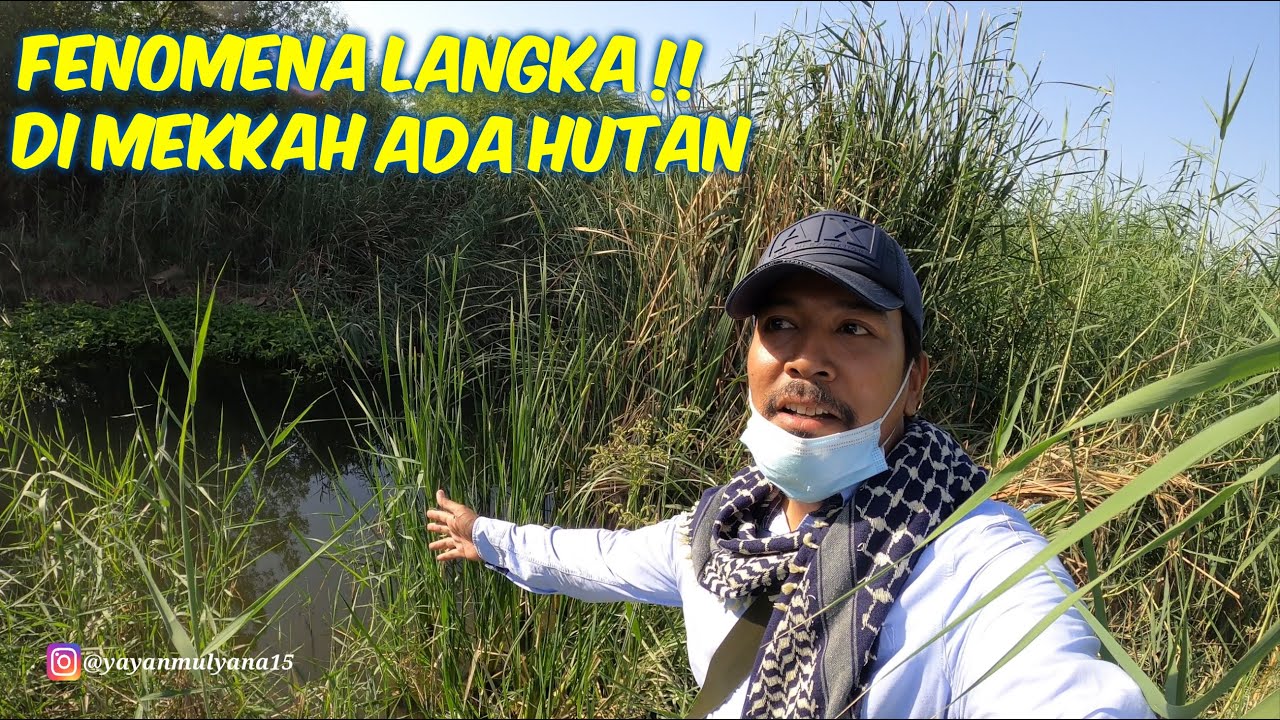 TERSESAT DI HUTAN BELANTARA MEKKAH