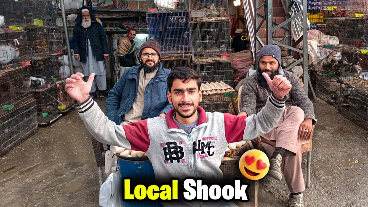 Aj Puray Sher Ki Local Pet Markets Ko Explore Kr Diya😱 | Local Shook | Asian Pets Life