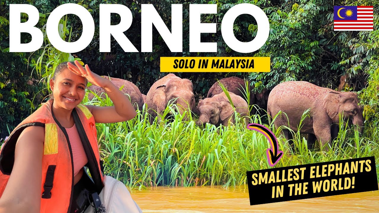 Surviving The AMAZON of Malaysia - Borneo | Solo in Malaysia Ep 12