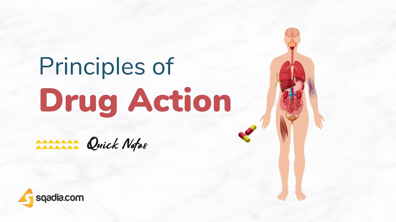 Principles of Drug Action - Introduction