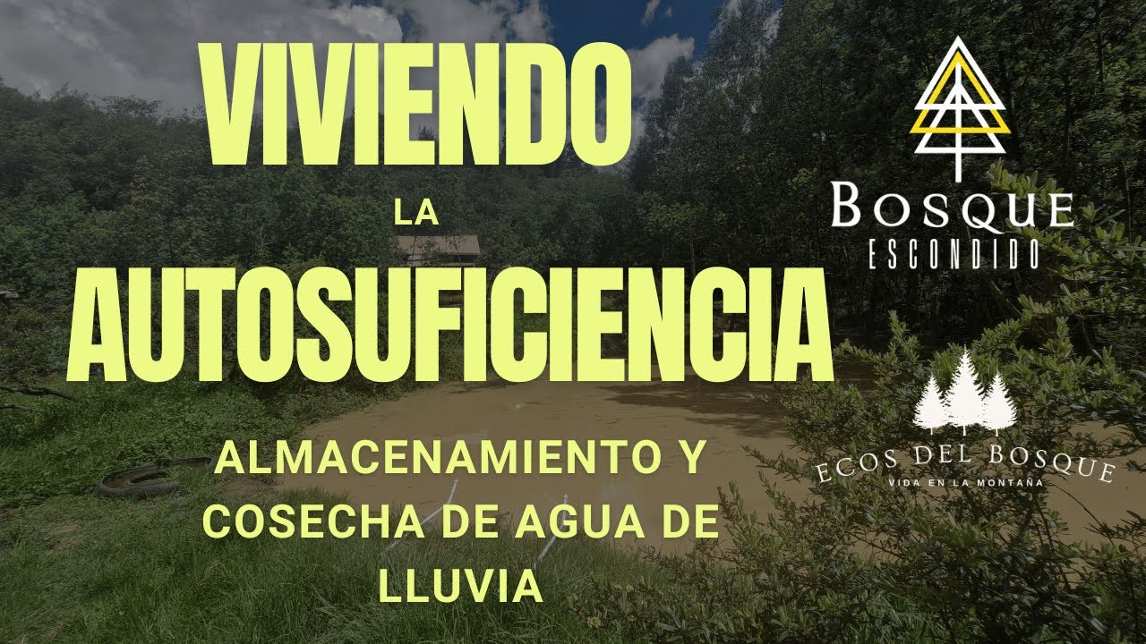AGUA GRATIS, NATURAL y ABUNDANTE: Así lo HACEMOS en nuestra FINCA