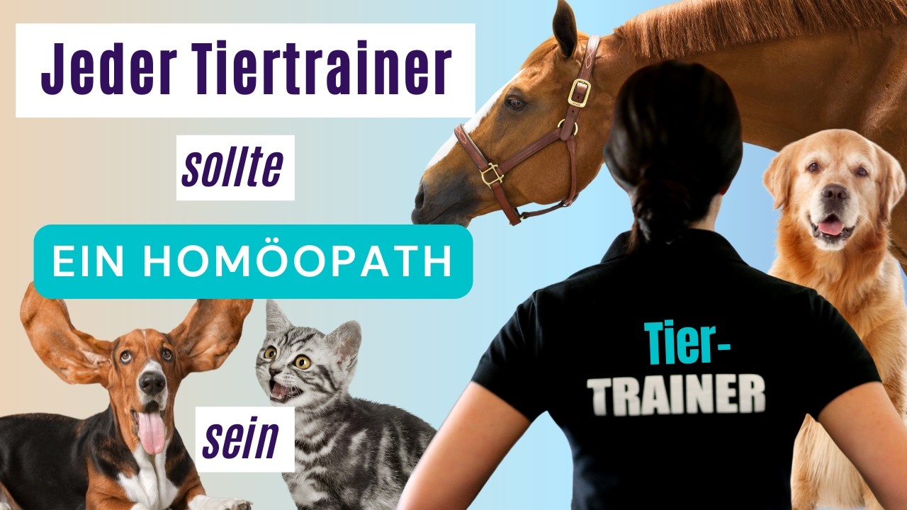 🐕🐈 Jeder TIERTRAINER sollte Hom&ouml;opath sein! 🐶🐱🐴 // Ganzheitliche Tiergesundheit