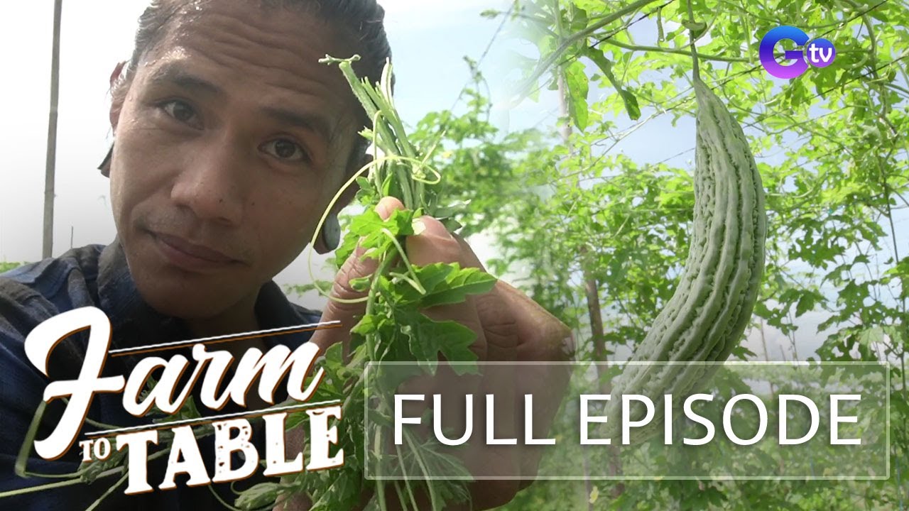 Chef JR Royol discovers the balanced flavor of bitterness! (Full Episode) | Farm To Table