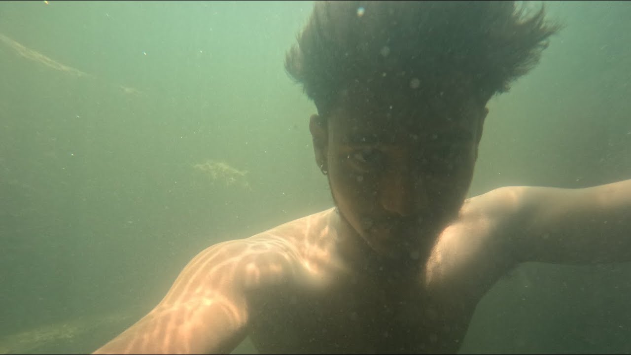 UNDER WATER VIEW IN LIVE FISH 🐠