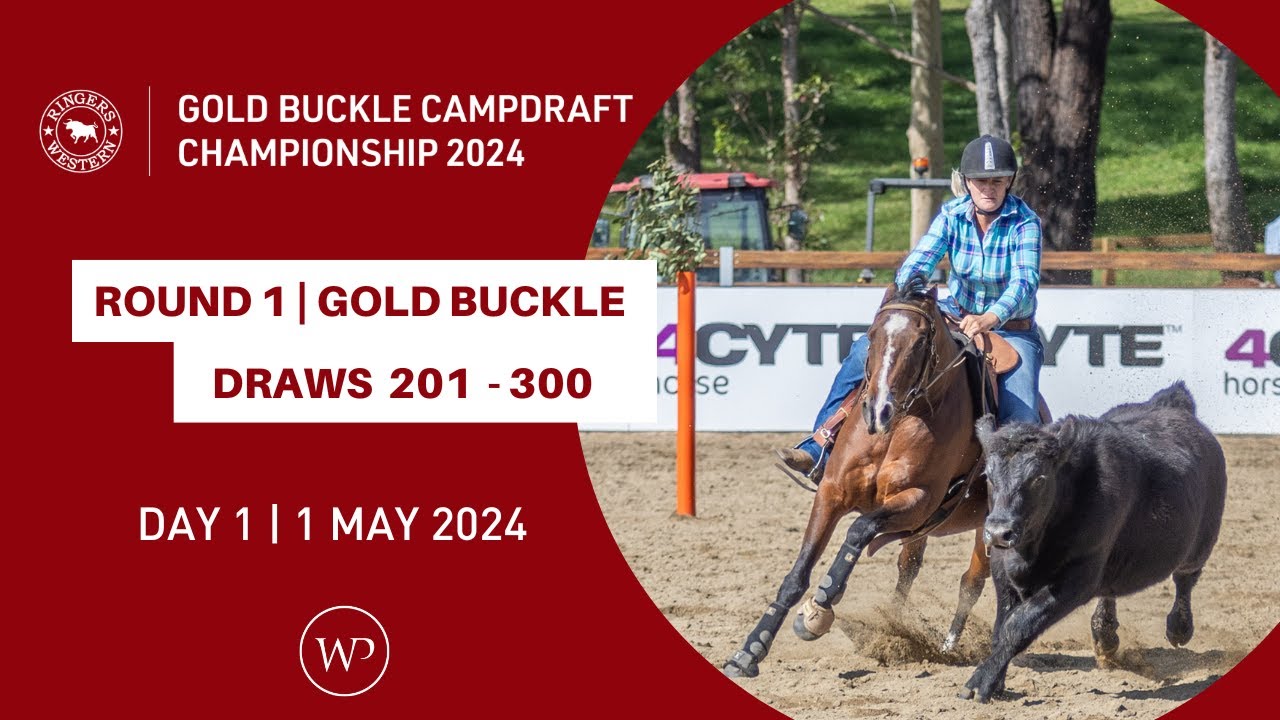 ROUND 1 | Ringers Western Gold Buckle Campdraft Championship 2024 | Draws 201 – 300