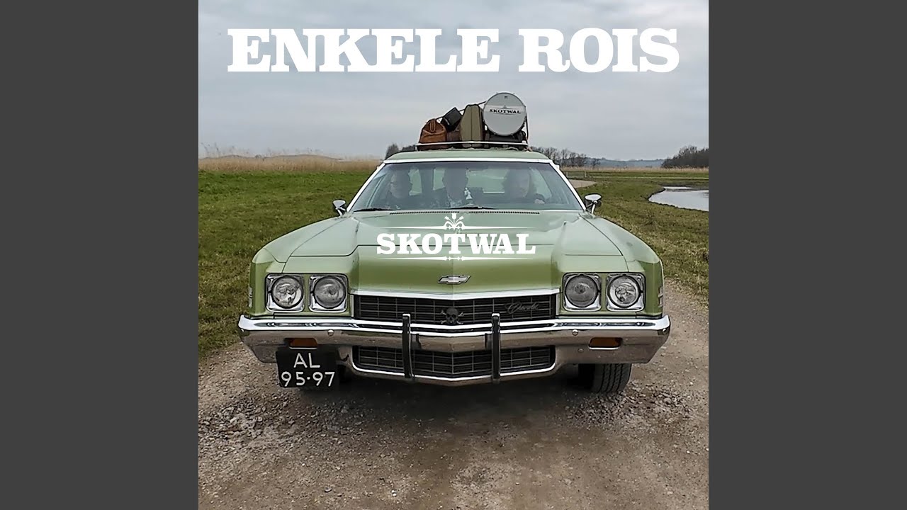 Enkele rois