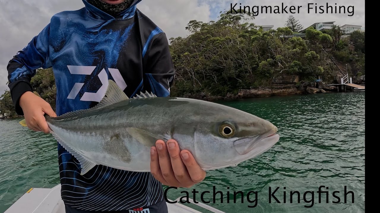 Kingfish master class from the young blokes !