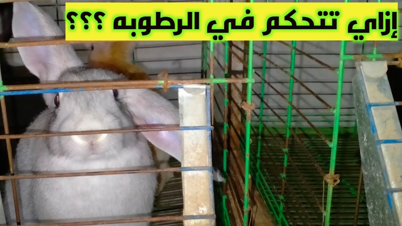 التحكم في الرطوبه