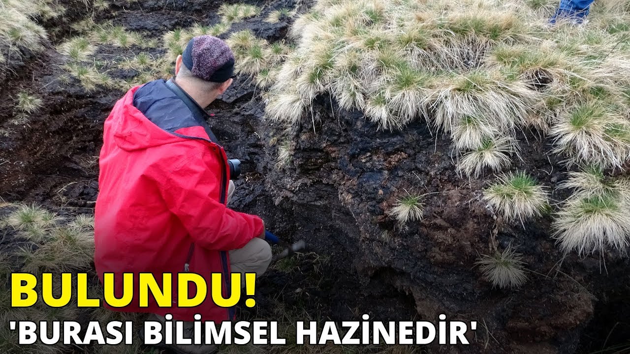 Türkiye'nin en büyük turba bataklığı bu bölgede... 'Burası bilimsel hazinedir'