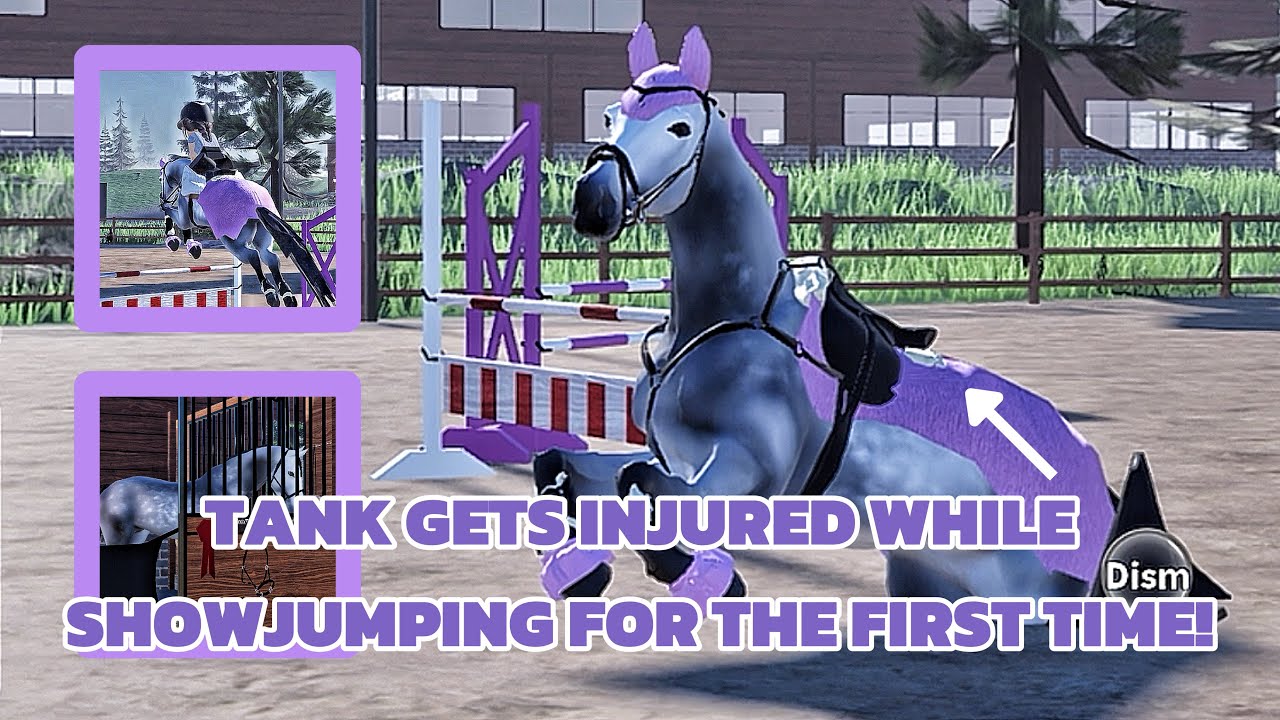 😱TANK GETS INJURED WHILE SHOWJUMPING FOR THE FIRST TIME!!😱 // *18k special 2/18* 