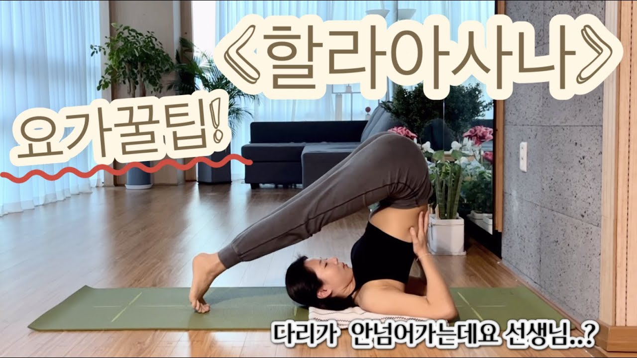 요가꿀팁🍯 할라아사나 / 쟁기자세 / 어떻게 하면 다리를 넘길 수 있어요?