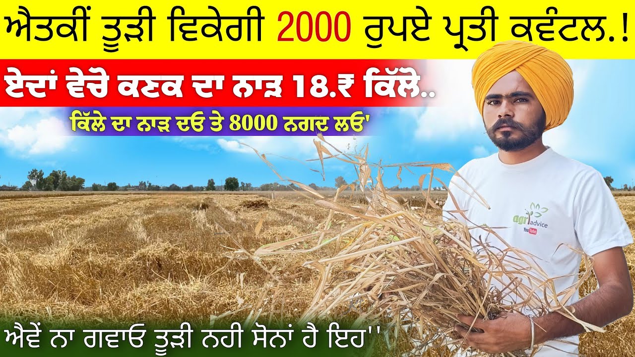 1 ਕਿੱਲੇ ਦਾ ਨਾੜ ਦਓ ਤੇ 8000 ਰੁਪਏ ਨਗਦ ਲਓ ਐਵੇਂ ਨਾ ਗਵਾਓ ਸੋਨਾਂ ਹੈ ਇਹ' • agri advice