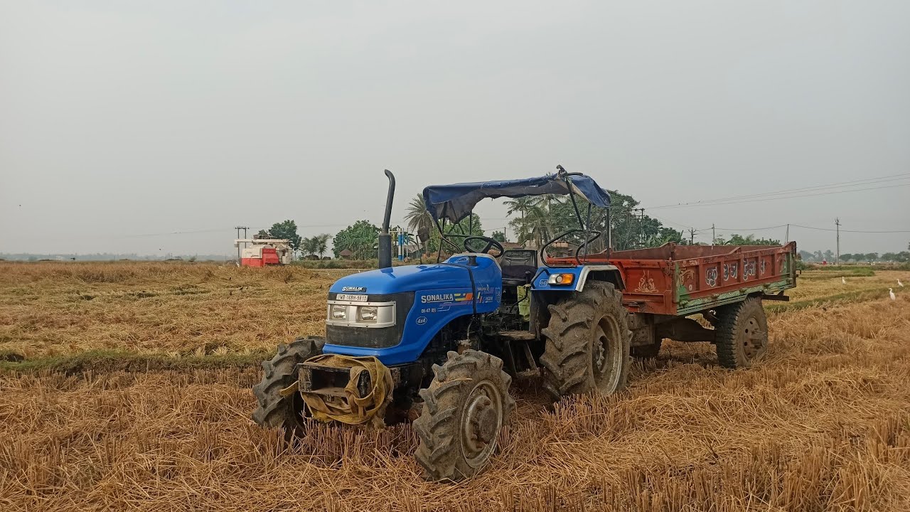 Harvesting Day - 20