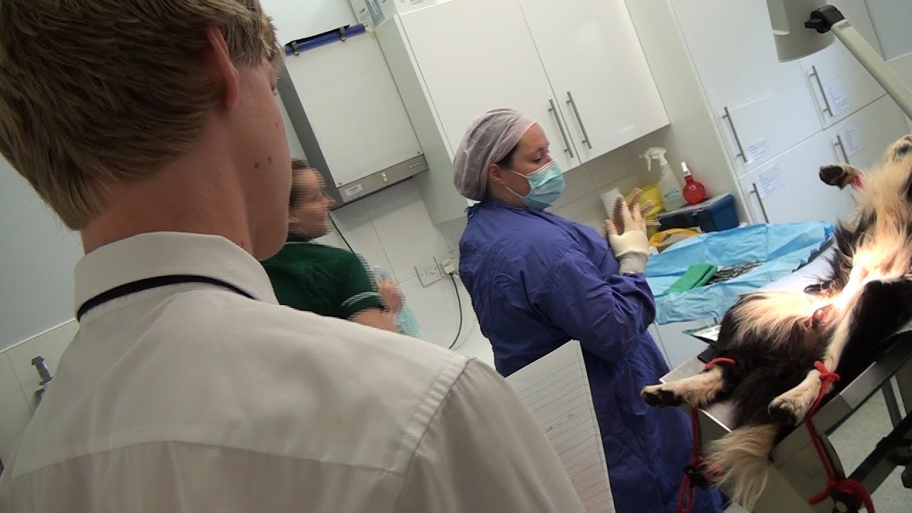 Tiverton High School Year 10 Work Experience 2013