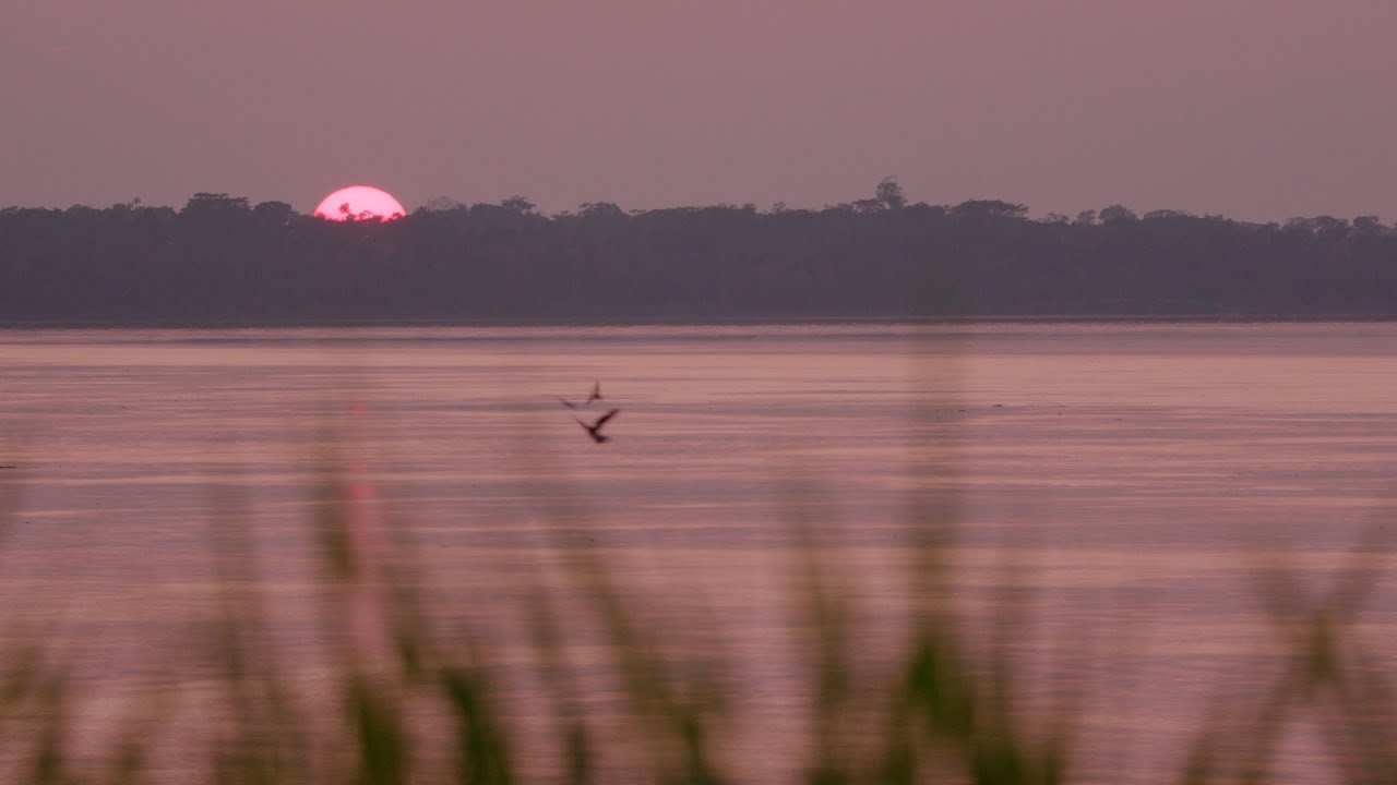 Rolex Perpetual Planet Initiative – Amazon Expedition: From the Andes to the Atlantic