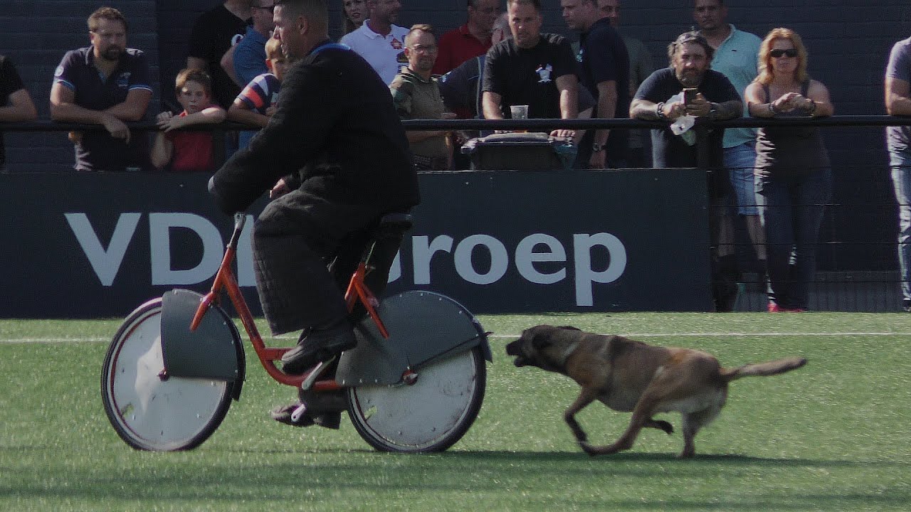 2022 KNPV  Rijwielstellen PH1 en PH2  3 september