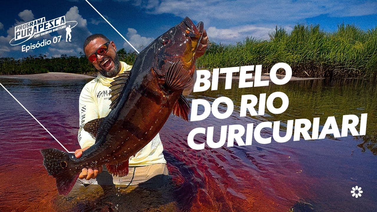 EXPLOSÕES NA HÉLICE! Os ataques brutais dos Tucunarés Gigantes | Pura Pesca