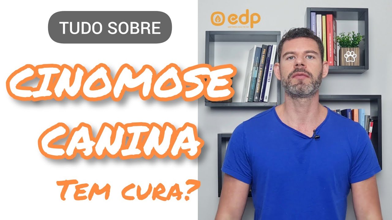 151 | CINOMOSE EM CÃES, SINTOMAS, TRANSMISSÃO, COMO CURAR / TRATAMENTO