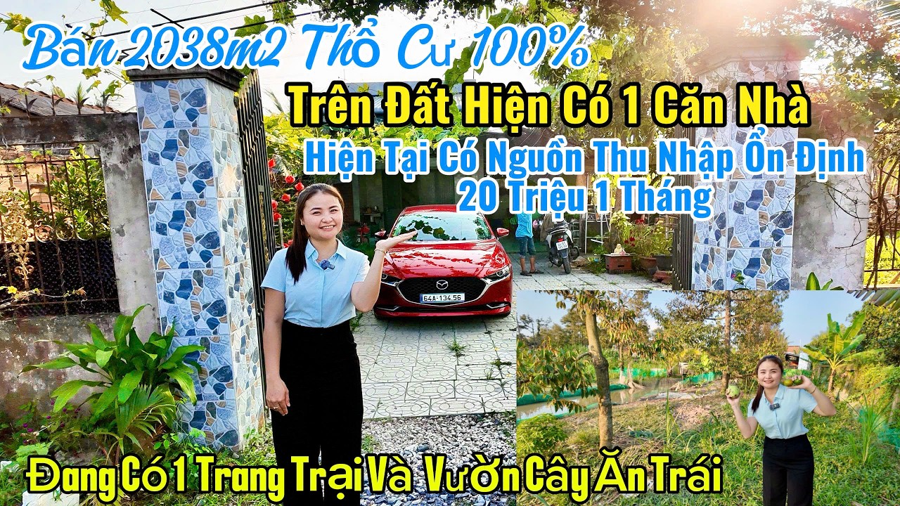 bán đất vườn thổ cư 100% hiện đang có căn nhà cấp 4 đang có thu nhập hàng tháng tại huyện mang thít