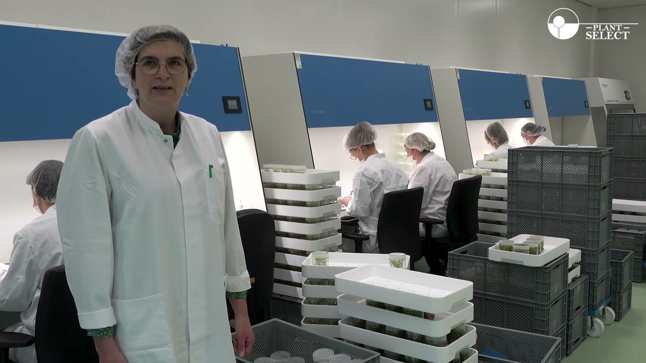 Plant Select - In-vitro stap voor stap