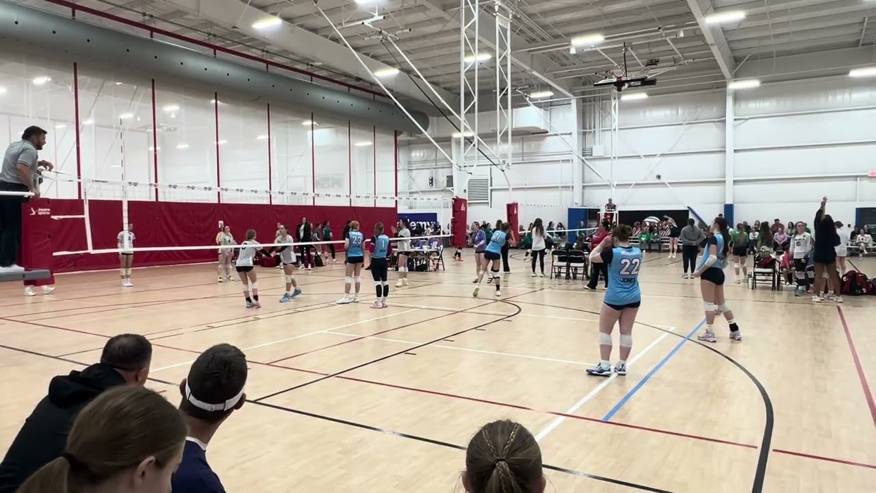 ASV v ARJrs