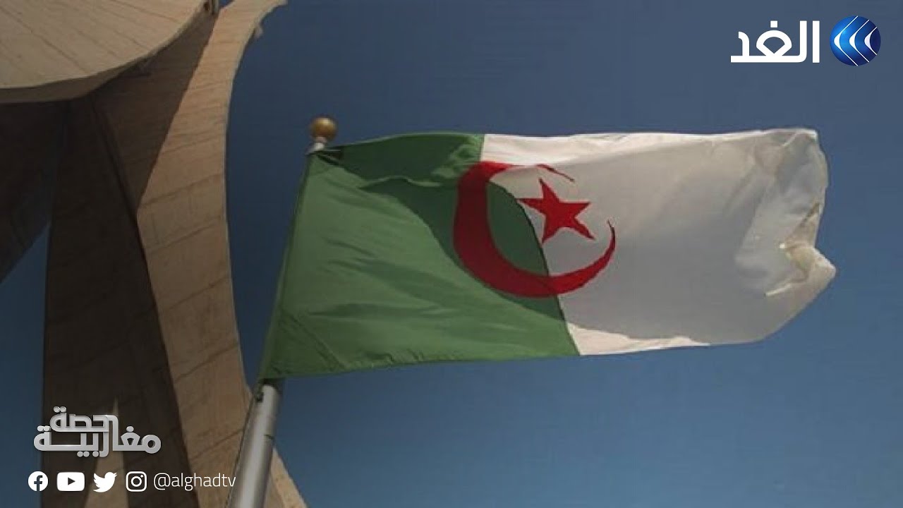 لمكافحة ظاهرة التصحر.. الحكومة الجزائرية تعيد إحياء مشروع السد الأخضر في 13 ولاية