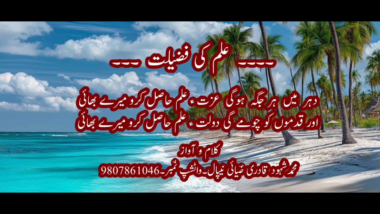 Ilm ki Fazilat par Behtarin kalam _Hafiz Shuhood Qadri__2_2_2026_