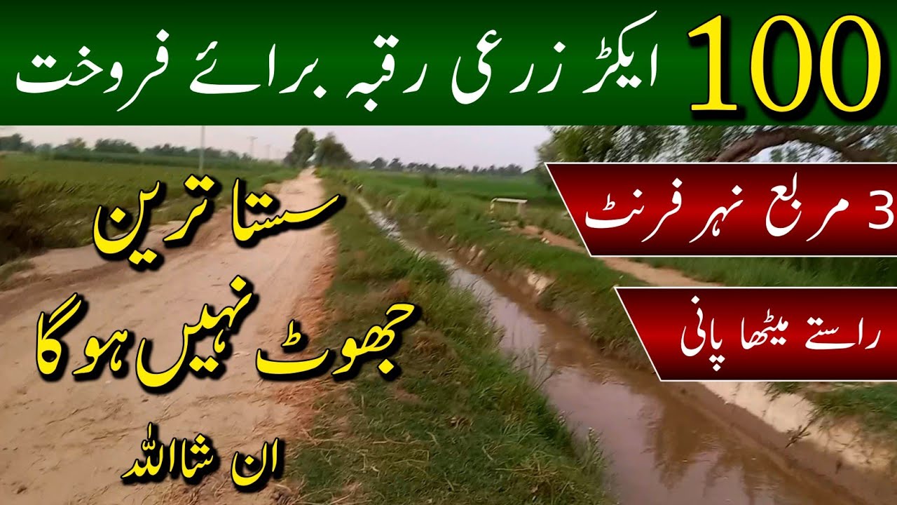 100 Acre Agriculture Land For Sale 2024 | Nehar Or Road Wala Raqba | Low Price Land | Episode 13