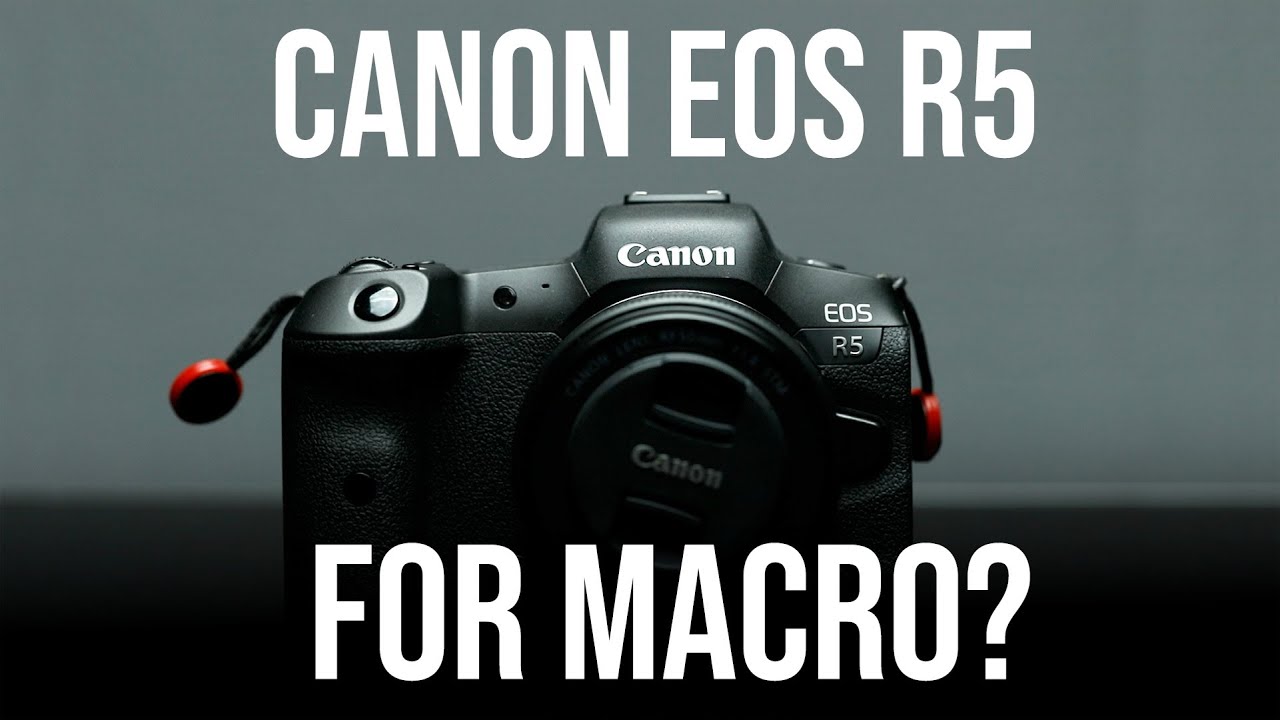 Почему я купил Canon EOS R5 для макросъемки