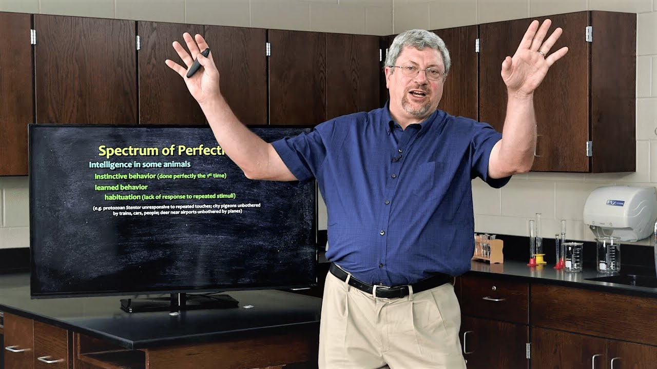What are Instinctive and Learned Behaviors? - Dr. Kurt Wise, Devotional Biology