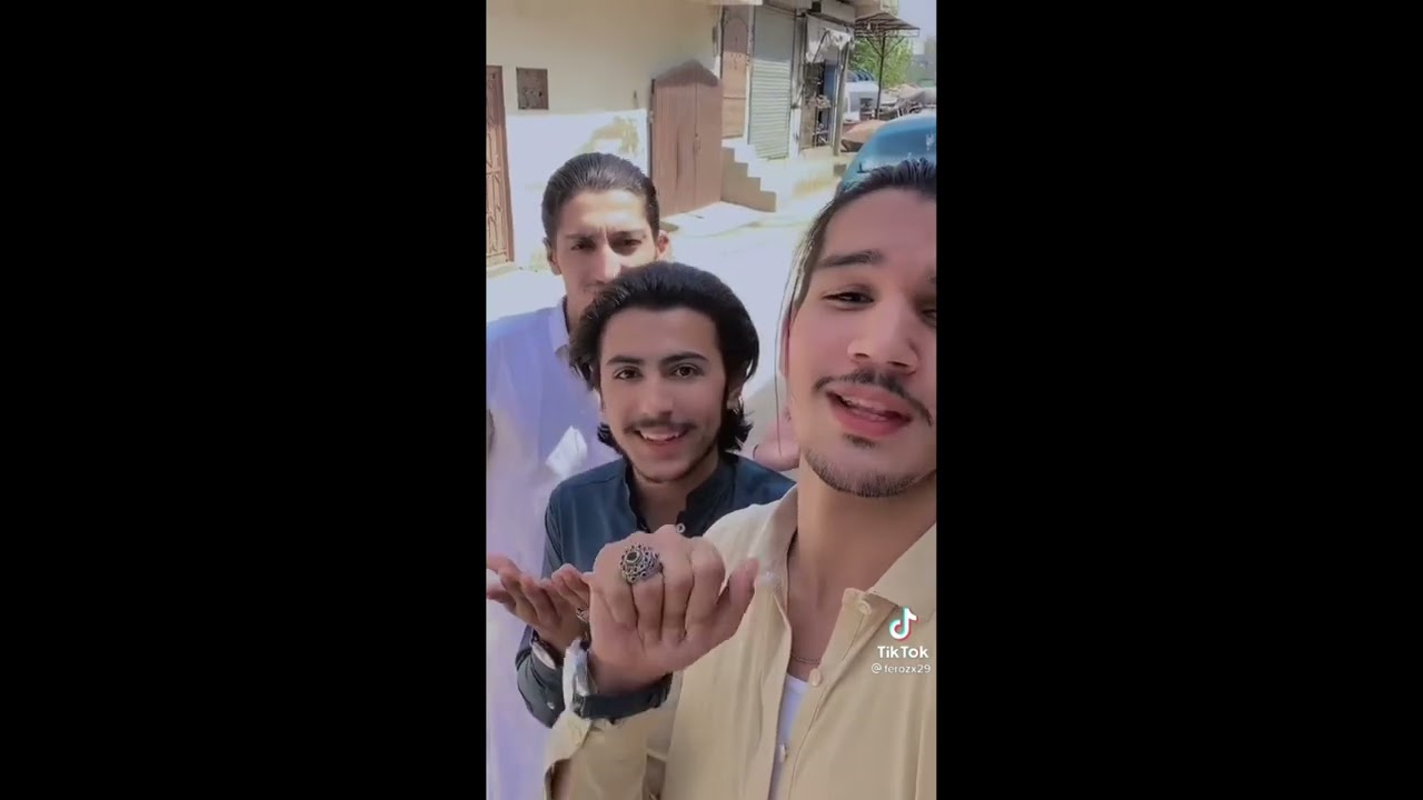 Tiktok video jani noor and prince abdullah