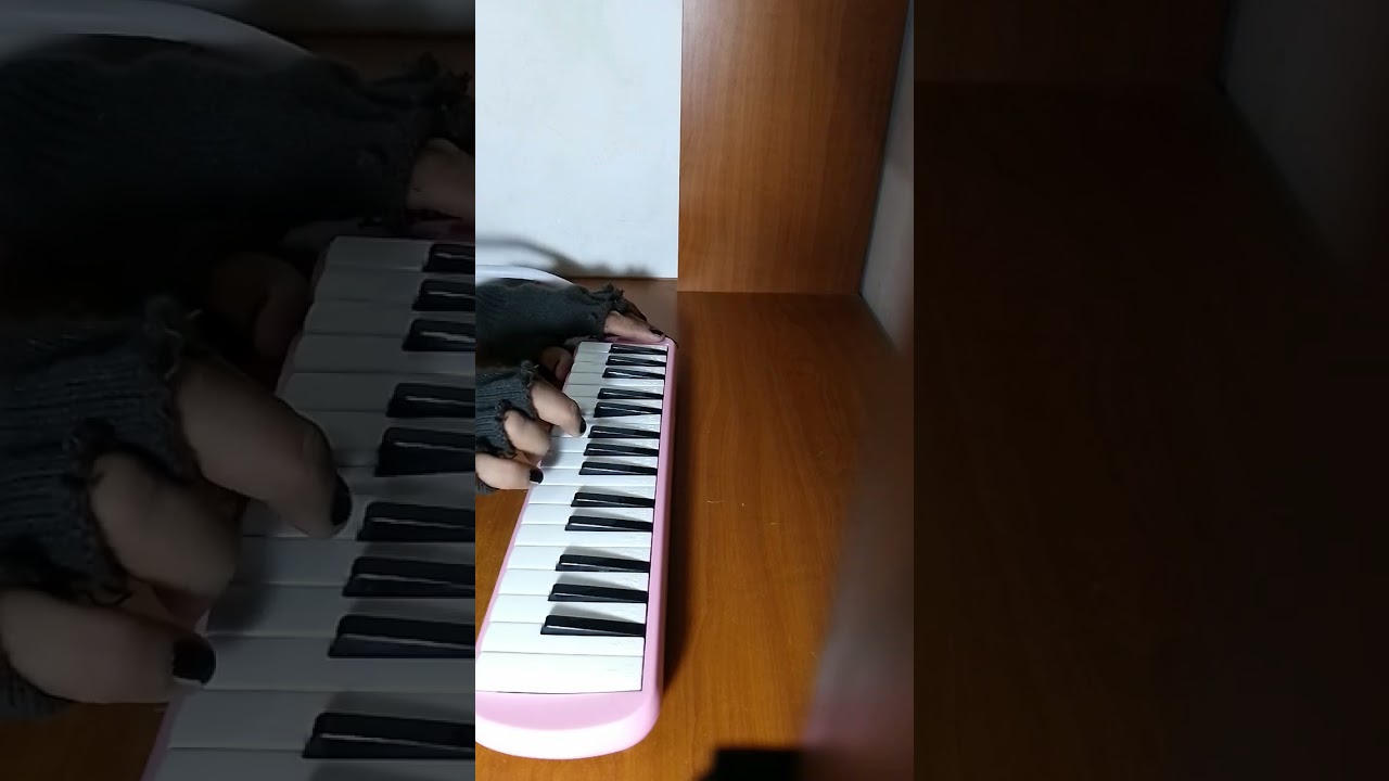 MY HEART WILL GO ON ,TEMA DE TITANIC MELODICA THEME MOVIE 