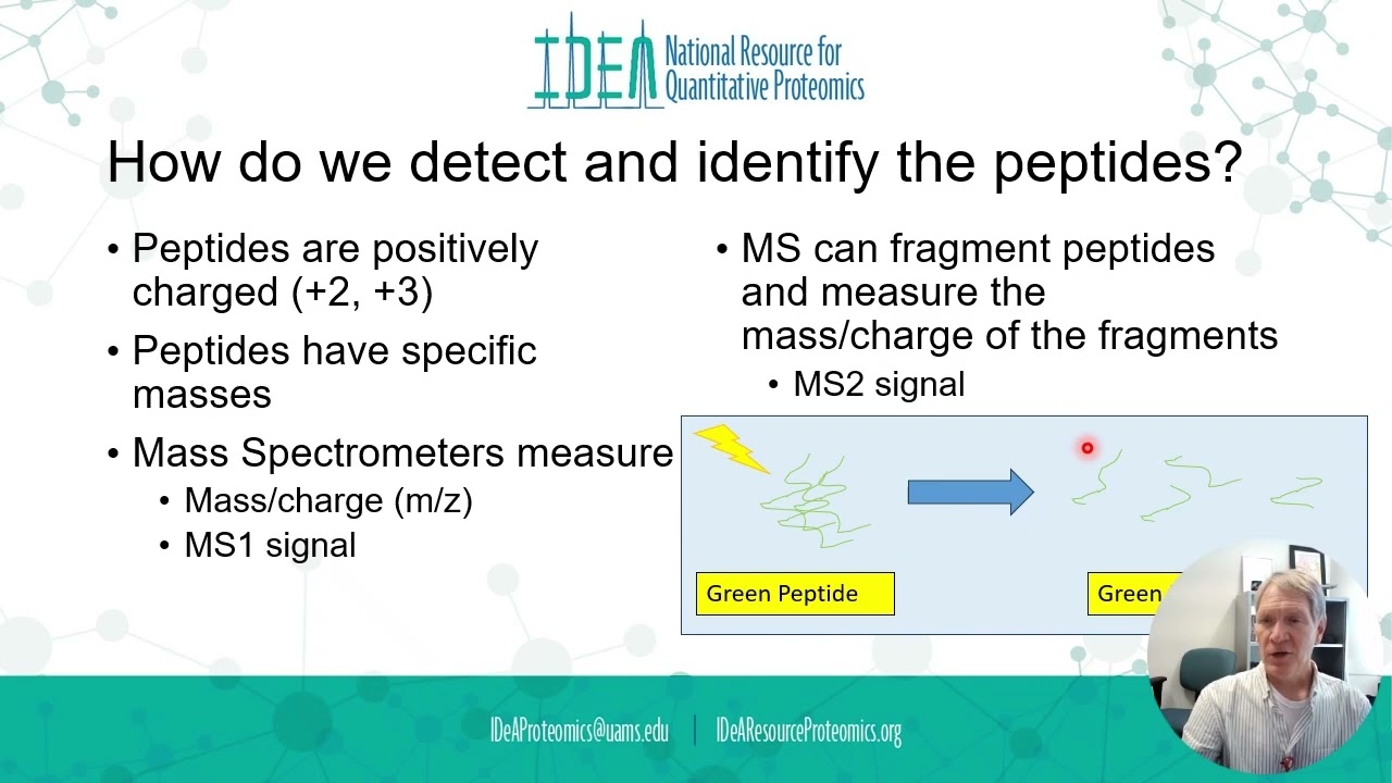 Discovery Proteomics an example of how an experiment can answer biological questions
