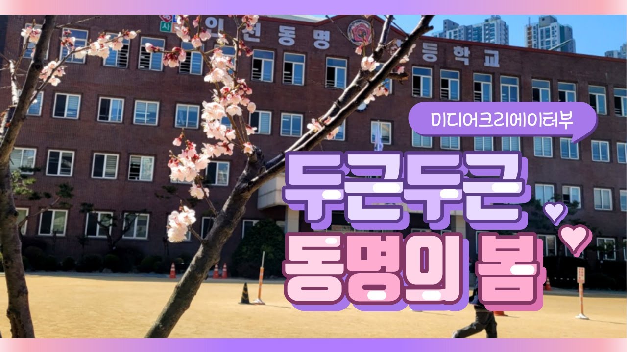 두근두근 동명의 봄 학교풍경 [인천동명초 미디어크리에이터부]