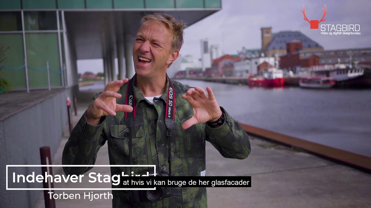 Profilfoto og portr&aelig;tfoto-Stagbird Video