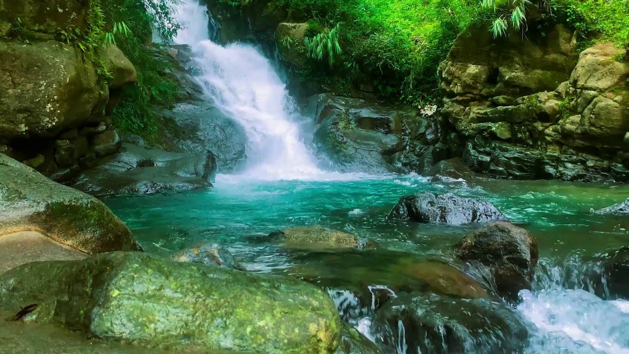 Невозможно не расслабиться 💧 Чистая горная река днём