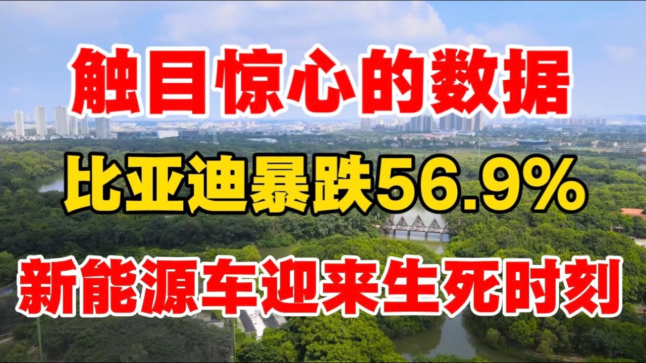 触目惊心的数据，比亚迪暴跌56.9％，新能源车迎来生死时刻！北大教授张维迎：补贴一停，大部分都要死！
