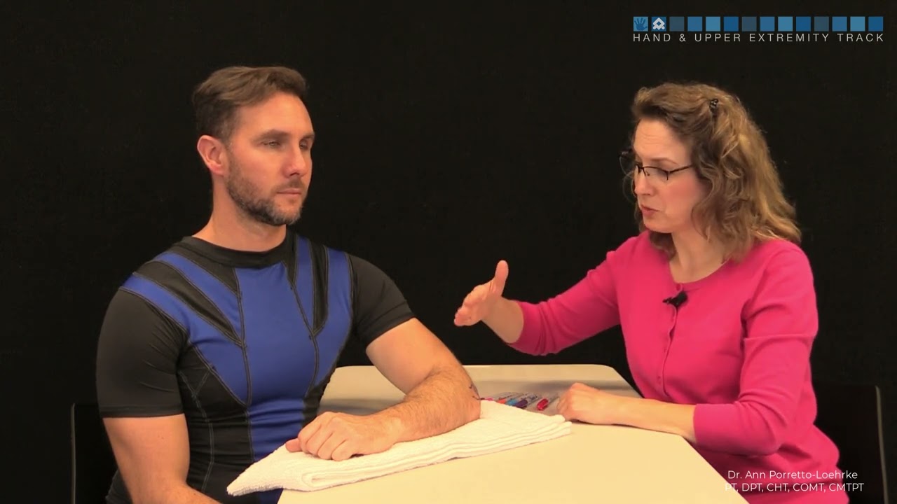 Soft tissue Surface Anatomy   elbow