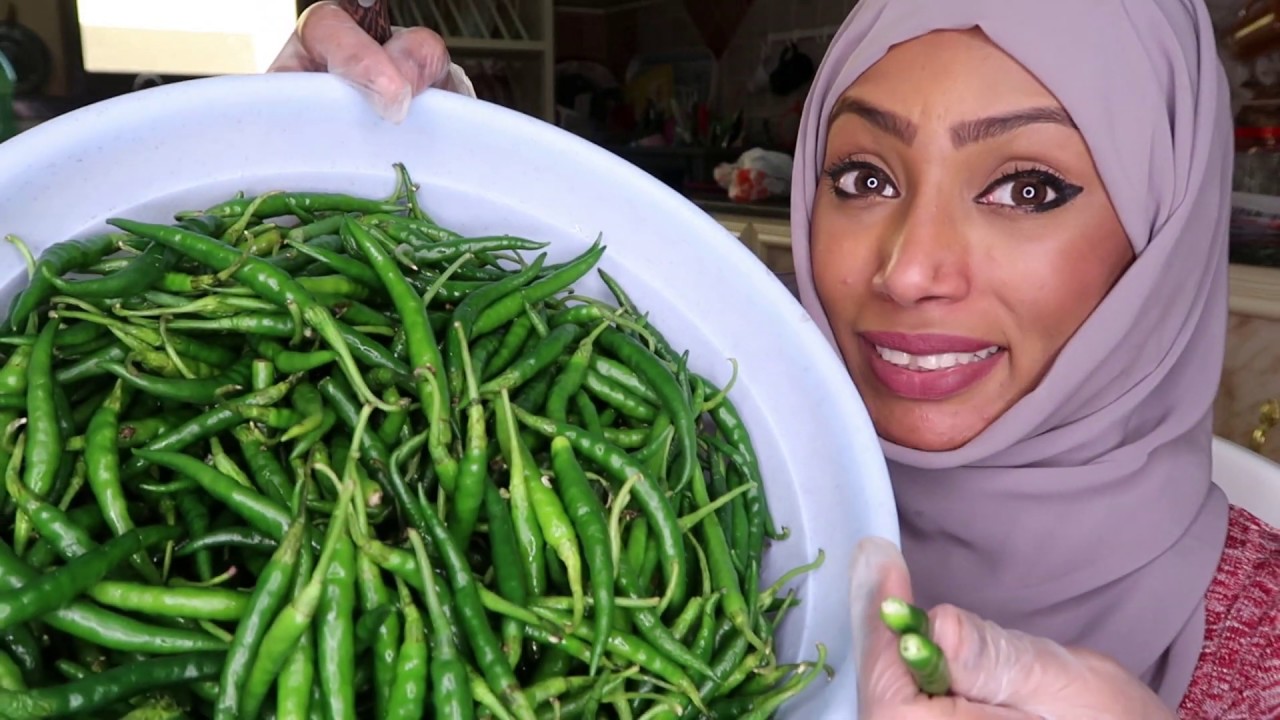 حضرت أجار هندي 😋لناس غالين على قلبي🌹🥰